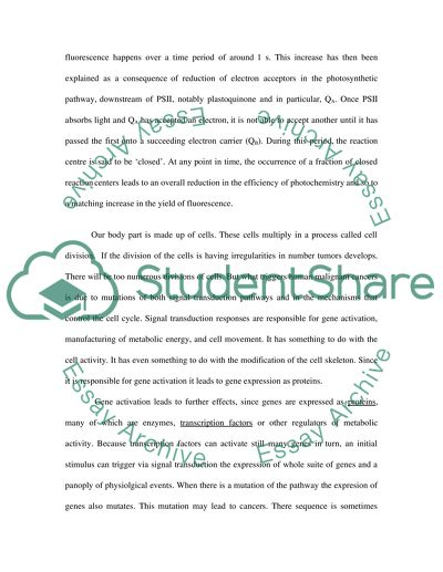 The Efficiency of Chloroplast
