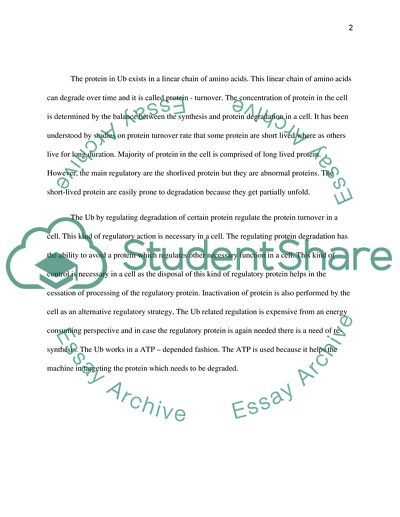The ubiquitin system, disease and drug discuvary