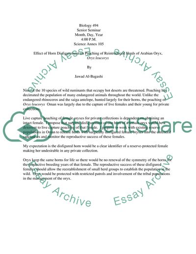 Effect of Horn Disfigurement on Poaching in Reintroduced Herds of Oryx leucoryx