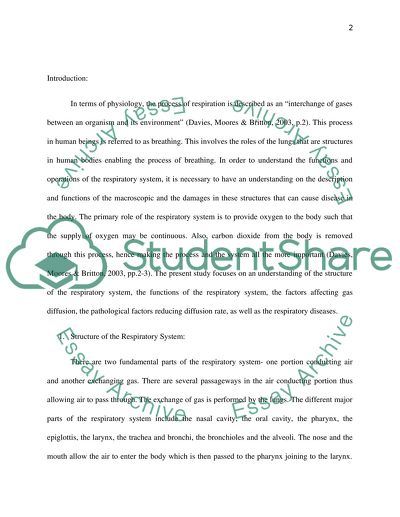 Respiratory System of Human Body