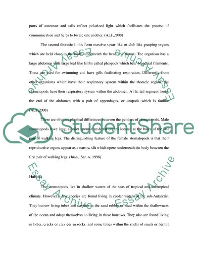 Stomatopoda: Physical Characteristics