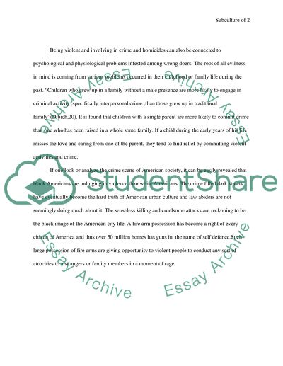 Subcultures of violence in american society