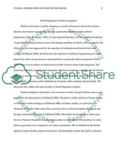 Clonal integration in Panicum trugidum