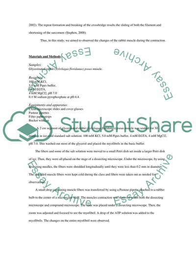 Actin-based cell motility: myofibril contraction
