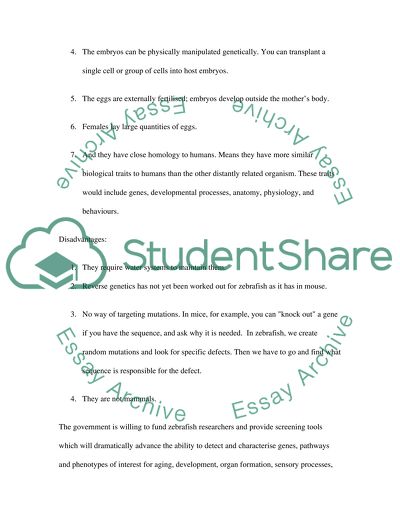 The role of Tropomyosin in Zebrafish development