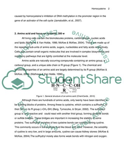 Controversial Role of Homocysteine in Atherosclerosis