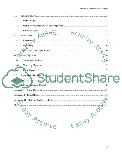 A Brand Plan report for Cadbury