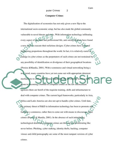 Computer Crimes in the USA