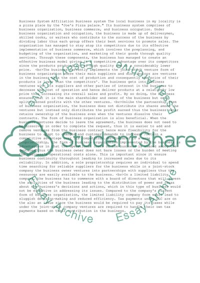 Success Secrets of Joes Pizza Palace