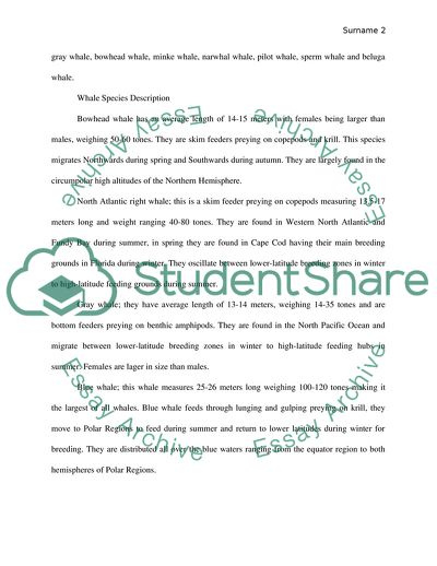 Marine Biology - Whales