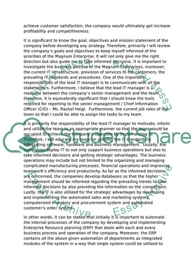 IT Management Role in Magnum Enterprises