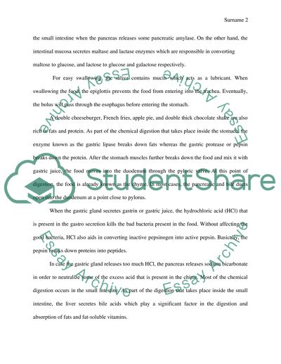 Digestion From Beginning to End