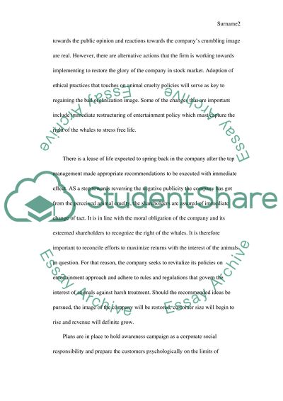 Letter to the Shareholders