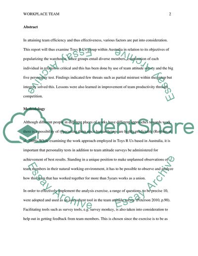 Team Efficiency of the Australian Toys R Us Group