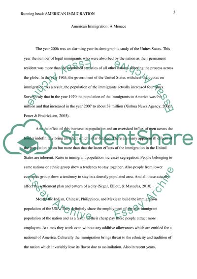 Socio-Political and Socio-Economic Aspects of Immigration to America