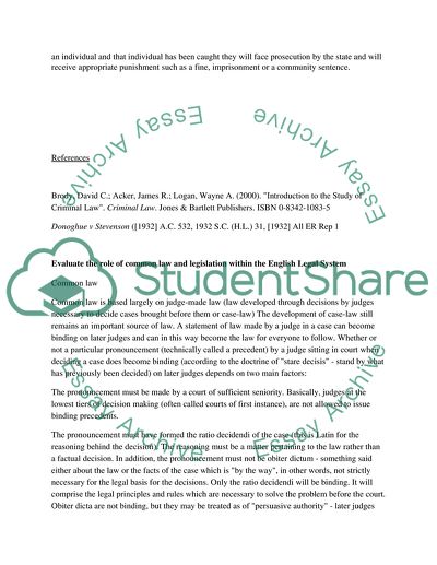 The Role of Criminal Law and Civil Law in Relation to the English Legal System