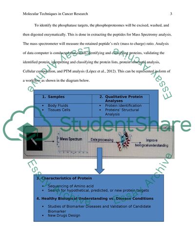 Molecular Techniques in Cancer Research