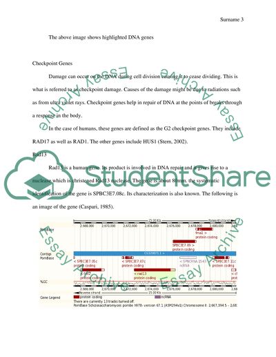 Screening a genome wide deletion library for mutants sensitive to gemcitabine