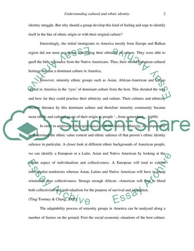 Understanding cultural and ethnic identity of United States