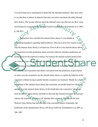 Rational Choice Theory Analysis