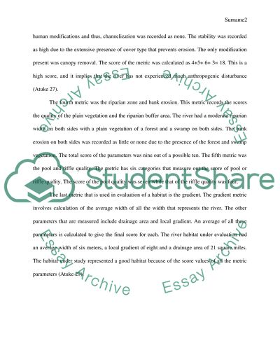 The Pool Section of the River