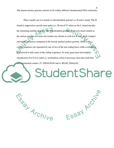The Human Nuclear Genome