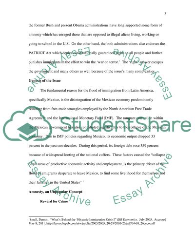 Immigration Issues in the USA