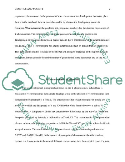 I believe in self-determination essay image