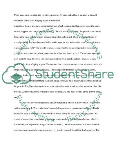 Mechanisms of the Nervous System to Guide Axonal Growth and to Determine the Survival of Neurons