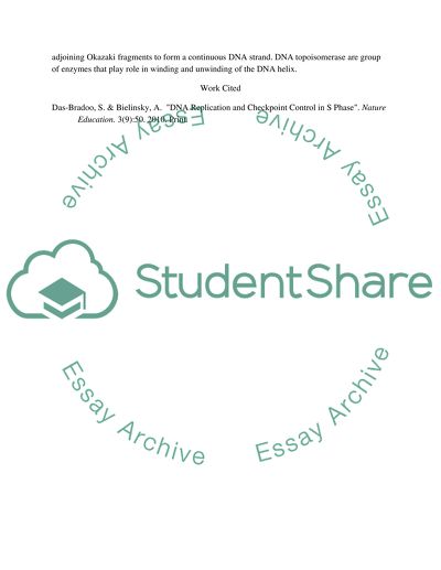 Discuss the mechanism of replication