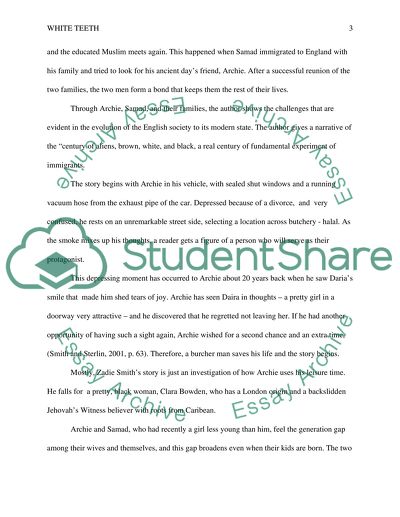 Analyzing the Informative Novel the White Teeth