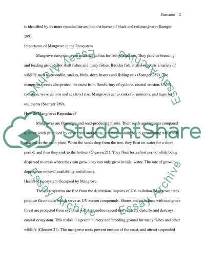 Mangroves and sea grasses in Florida