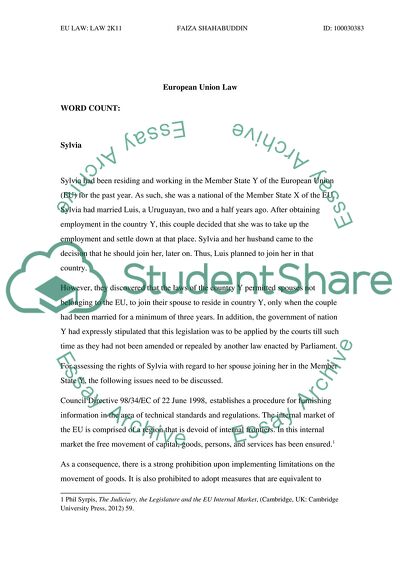 European Union Law Issues