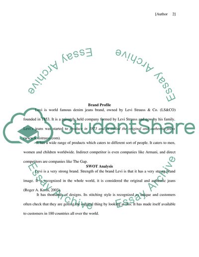 Marketing Plan of the Levis Company