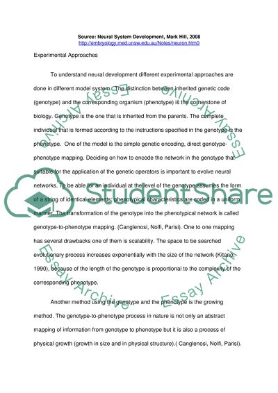 Neural System Development