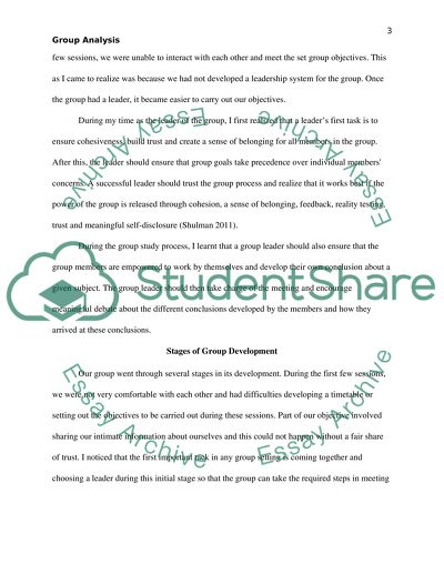 Social Work with Groups Assignment Example | Topics and Well Written ...