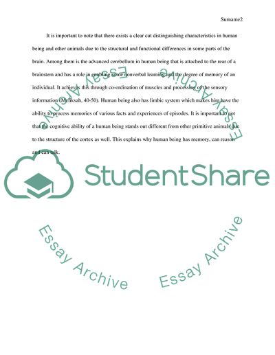 Part of the Human Brain That Distinguishes Us from Primitive Animals