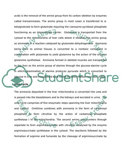 Why Protein Based Diets Can Be Deadly for Some Individuals