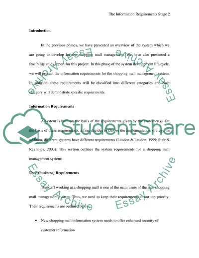 The Information Requirements for a Hypothetical Information System