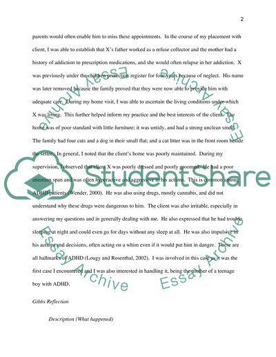 Reflective Placement Case Study