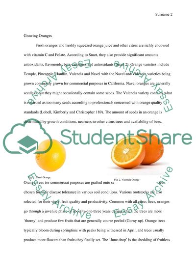 Processing and Production of orange in California