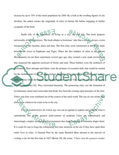 City: A Guidebook for the Urban Age by P.D. Smith