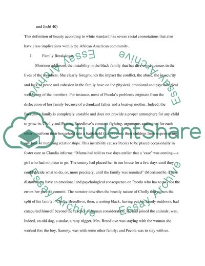 The Concept of Beauty in the American Society