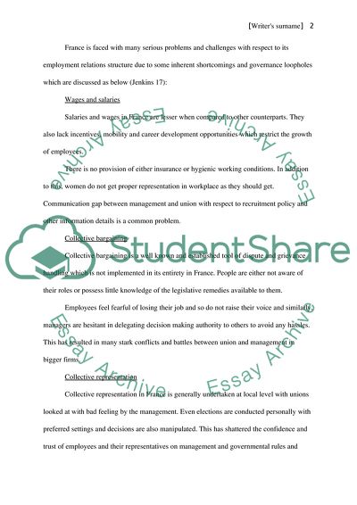 The Employment Relations Environment in France