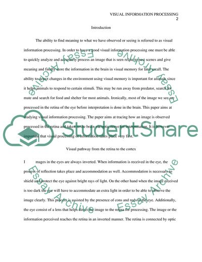 Visual Information Processing