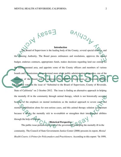 Public manager observation paper