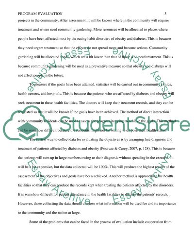 Program Evaluation Issues