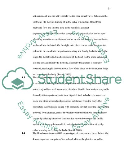 Features of Blood Circulation
