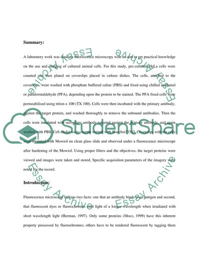 Fluorescence Microscopy and Cultured Animal Cells