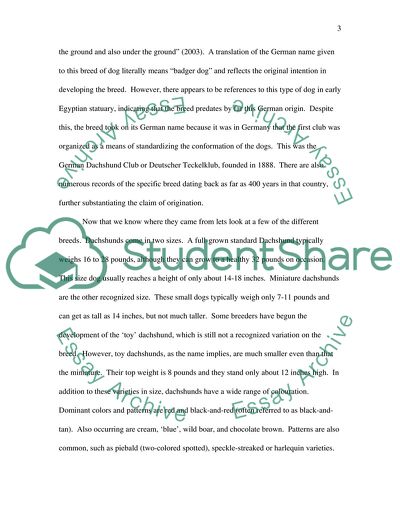 The Benefits of Dachshunds as Family Pets/Speech